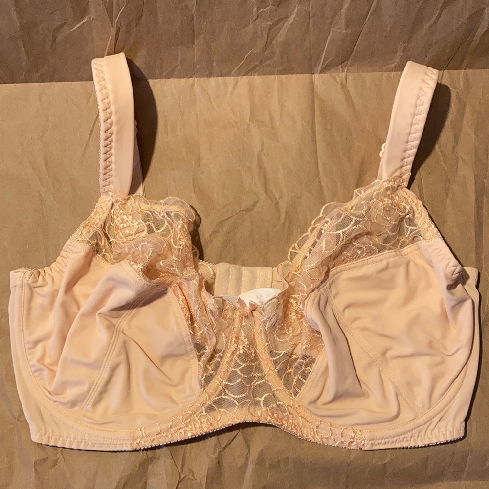 Curve Muse Nude Bra 40DDDD